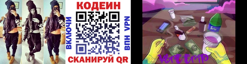 Кодеин Purple Drank  продажа наркотиков  omg ONION  Гай 