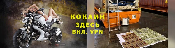 прущая мука Верея