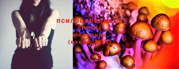 прущая мука Верея