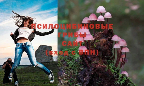 прущая мука Верея