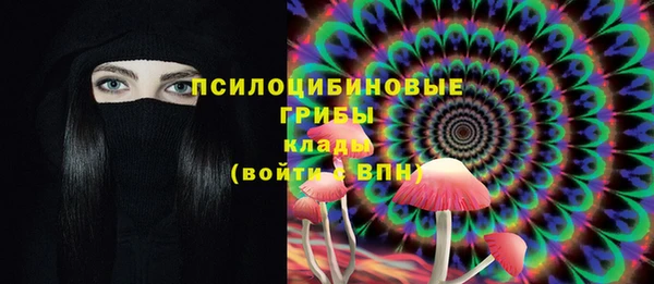 прущая мука Верея
