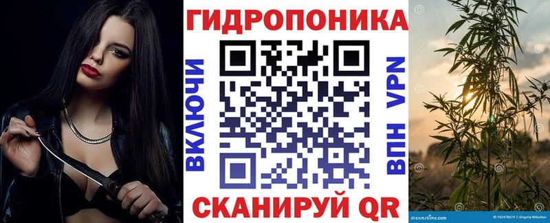 Шишки марихуана семена  KRAKEN зеркало  Гай 